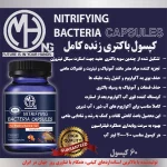 کپسول باکتری زنده کامل MASH حجم 60 عددی
