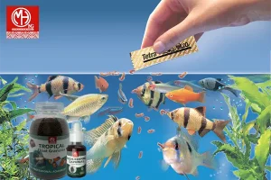 خرید غذای ماهی + راهنمای انتخاب بهترین غذا | معرفی محصولات